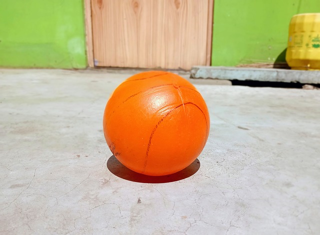 接受系统的 接受系统的