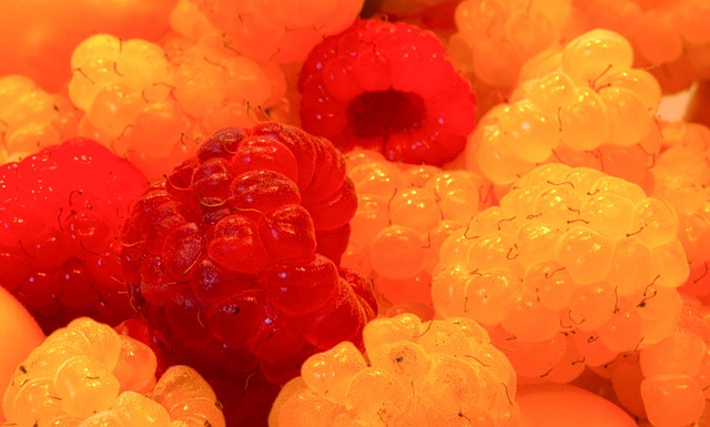 让雄鹿在竞 让雄鹿在竞