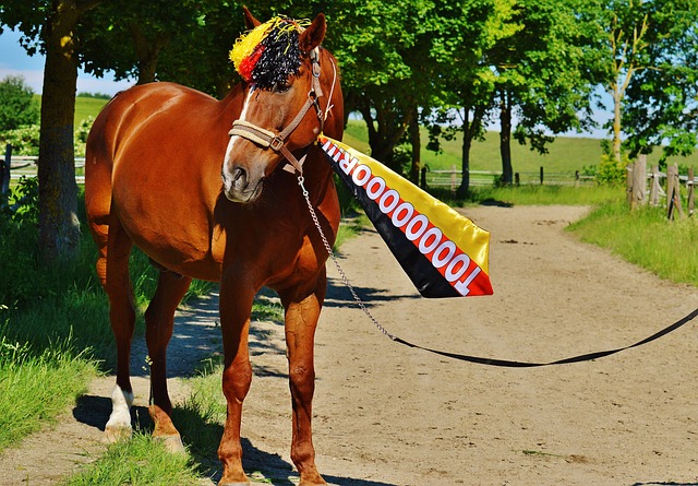 媒体和专家 媒体和专家