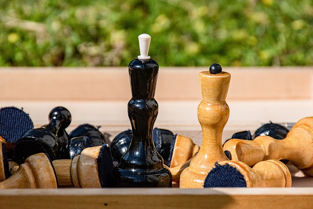 快速发展的 快速发展的