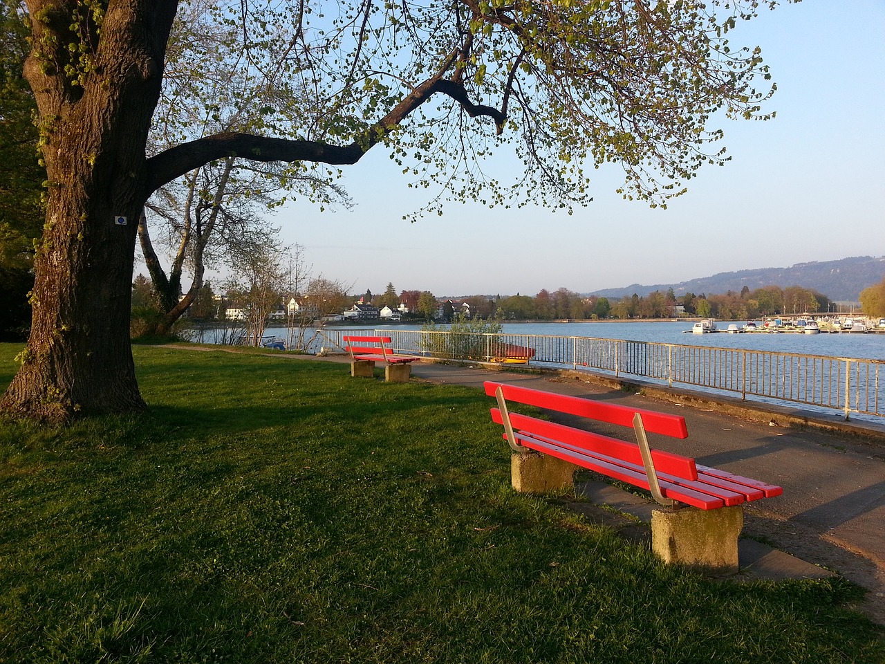 优化训练设 优化训练设