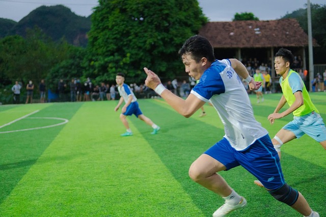 当灰熊反扑 当灰熊反扑