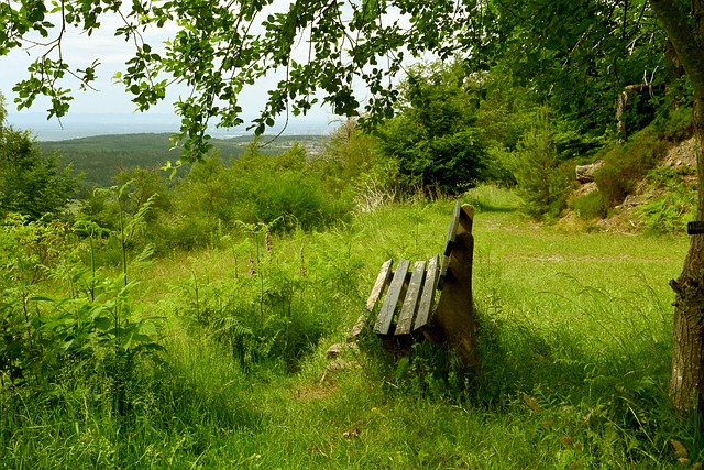 出色的战术 出色的战术
