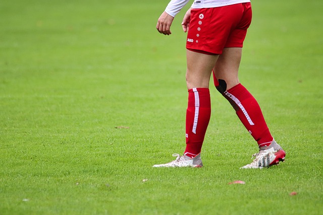 败的自省 败的自省