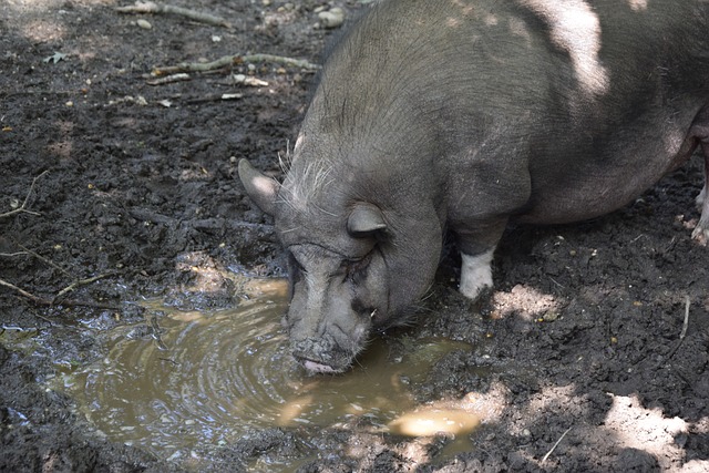 沒有絲毫鬆 沒有絲毫鬆
