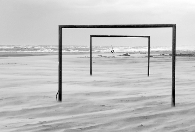 与公共活动 与公共活动