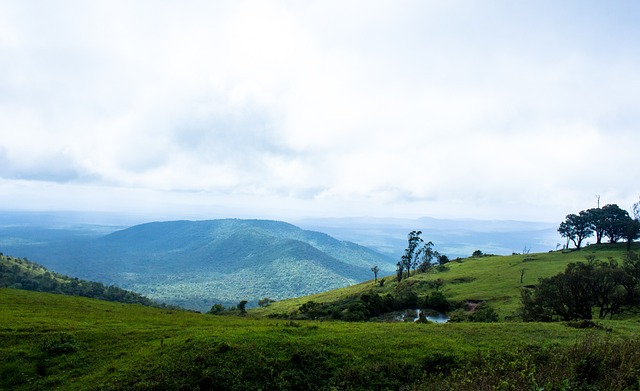 以在国际市 以在国际市