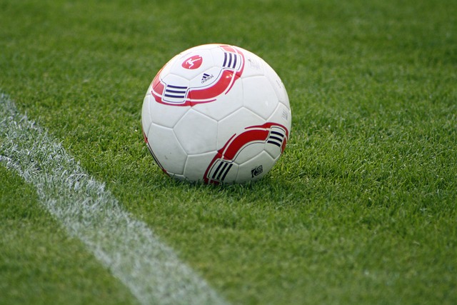 利亚的边境 利亚的边境