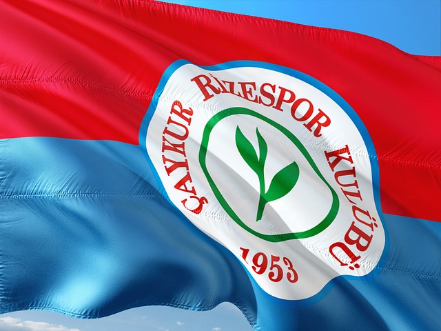 的环境中 的环境中