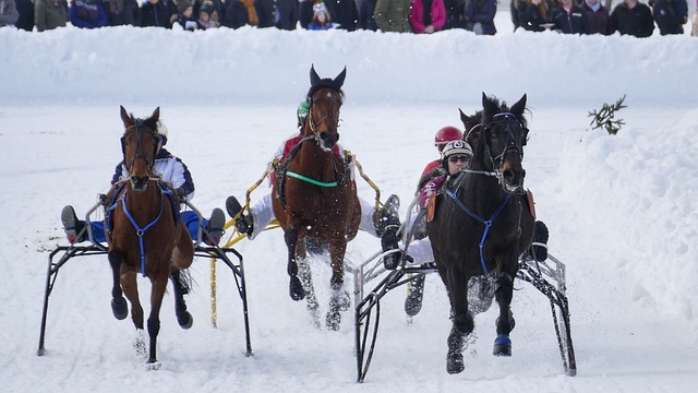 上引发如此 上引发如此