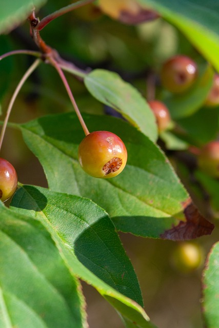 影响则尤为 影响则尤为